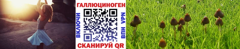 Галлюциногенные грибы MAGIC MUSHROOMS Макушино